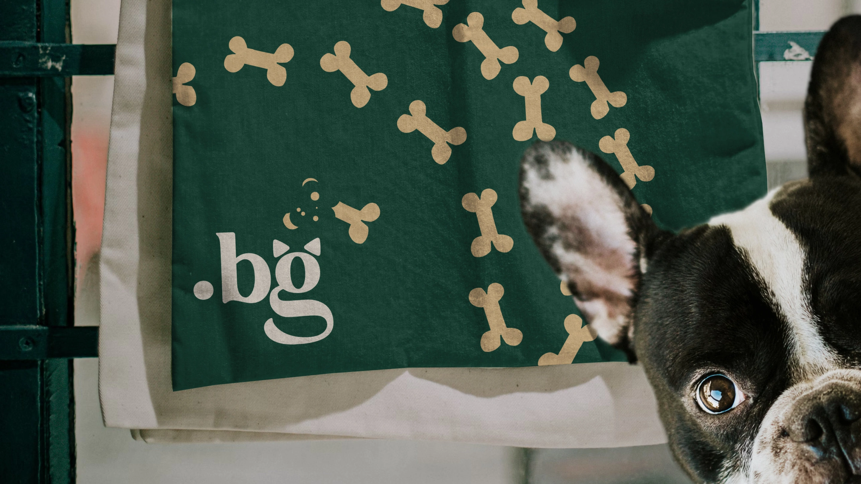 Petfood.bg — бранд идентичност